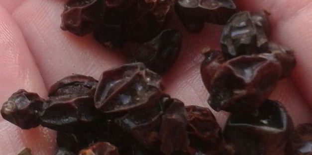 плов из курицы на здоровье