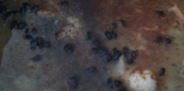 плов из курицы на здоровье