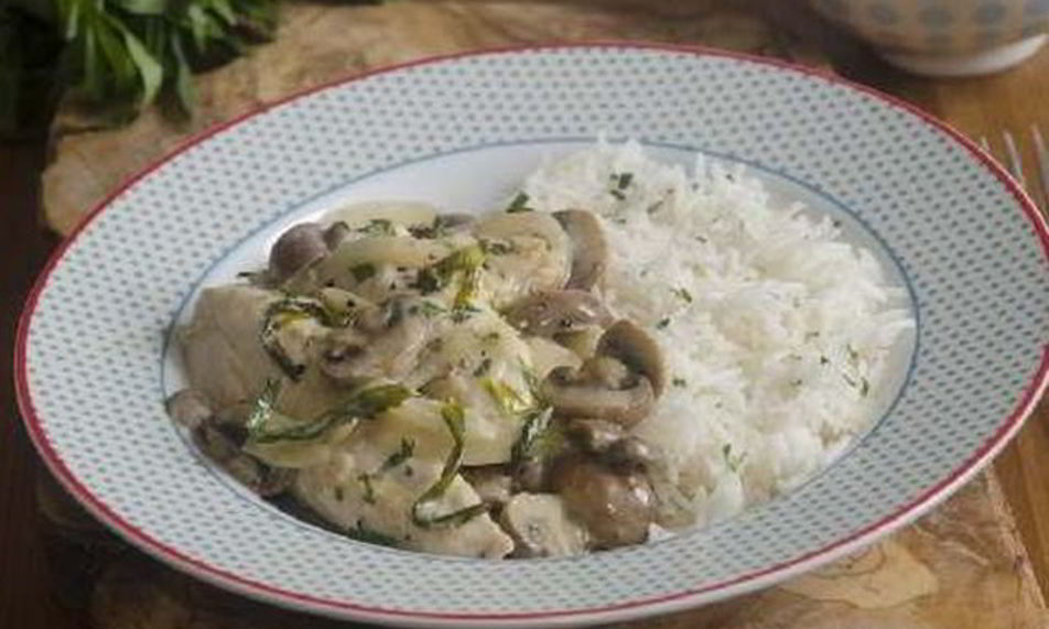 Рецепт куриное фрикасе