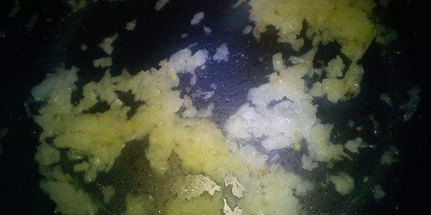 овощное рагу с тыквой