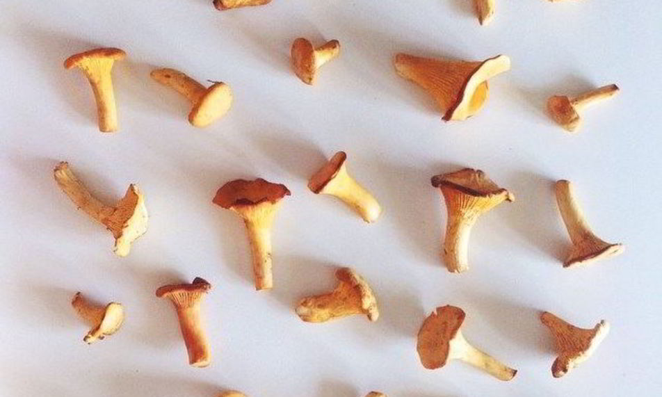 Рецепт рагу из лисичек и баклажанов