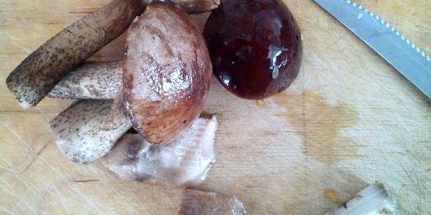 тыквенные галушки с грибным рагу