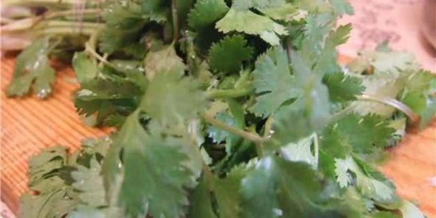 рисовая лапша с креветками, мидиями и овощами