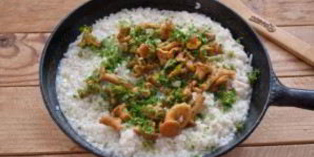 ризотто с лисичками