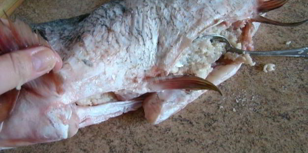 фаршированный толстолобик в духовке запеченный