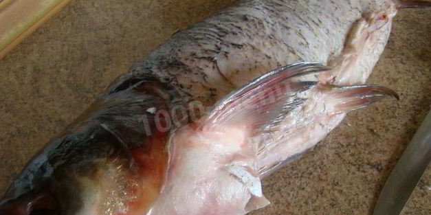 фаршированный толстолобик в духовке запеченный