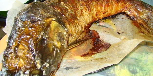 фаршированный толстолобик в духовке запеченный
