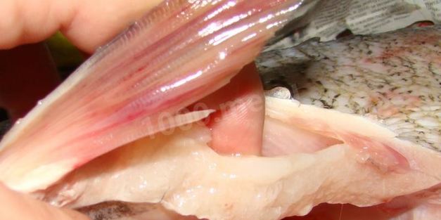 фаршированный толстолобик в духовке запеченный