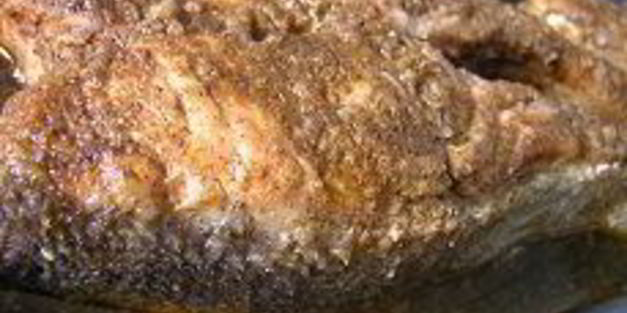 форель по-индийски с картофелем