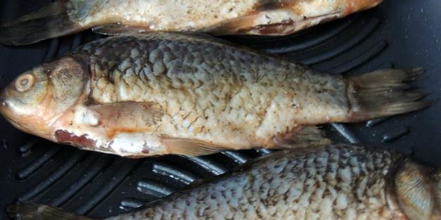 карась на гриле