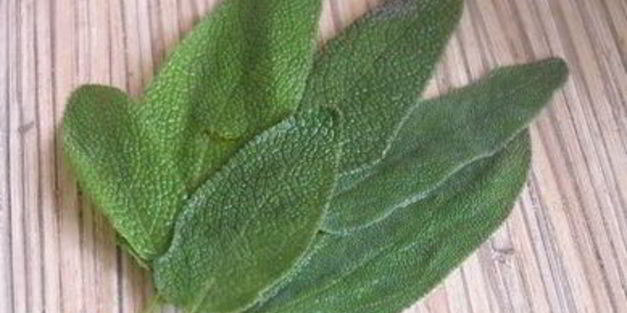 креветки с грейпфрутом и авокадо