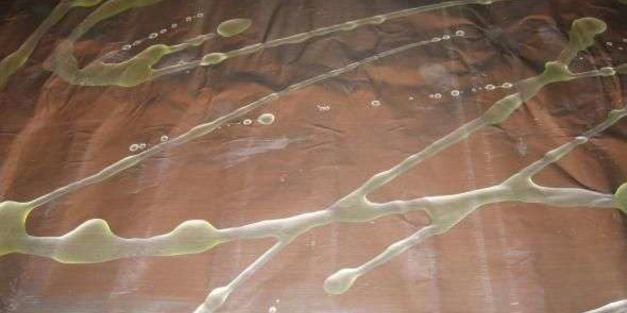 лосось по-канадски