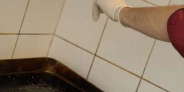 морской окунь в духовке