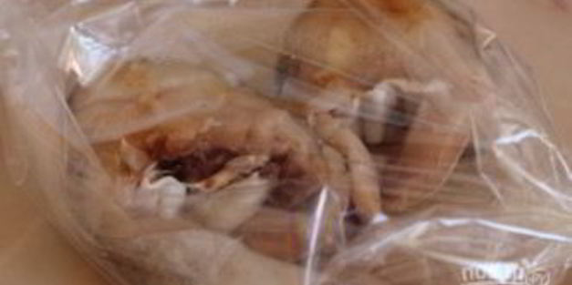 рыба в рукаве для запекания