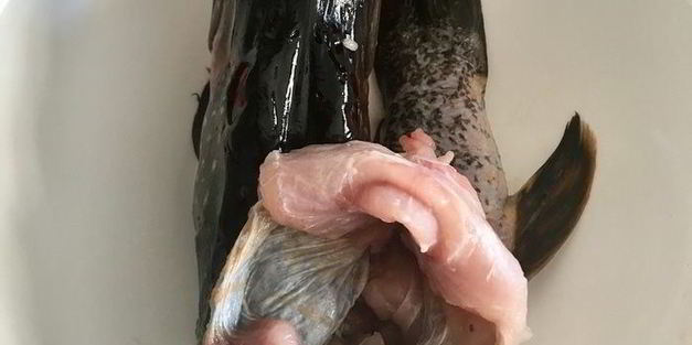 щука фаршированная первый улов