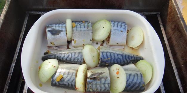 скумбрия — коптим на природе