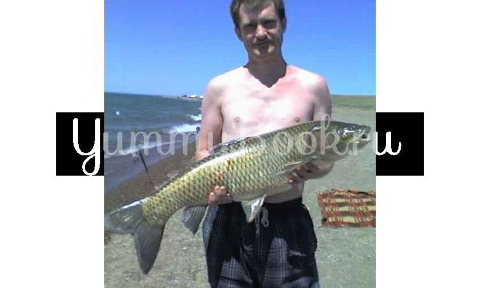 Рецепт сом жареный