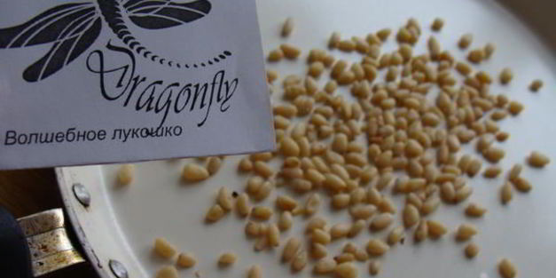 шашлычки из курицы и брюссельской капусты