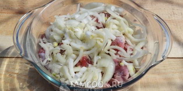 шашлык из куриных желудков