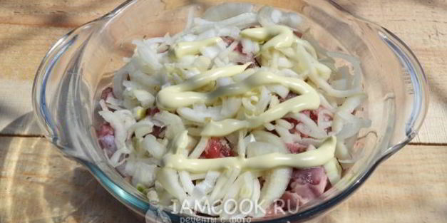 шашлык из куриных желудков