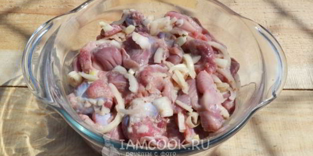 шашлык из куриных желудков