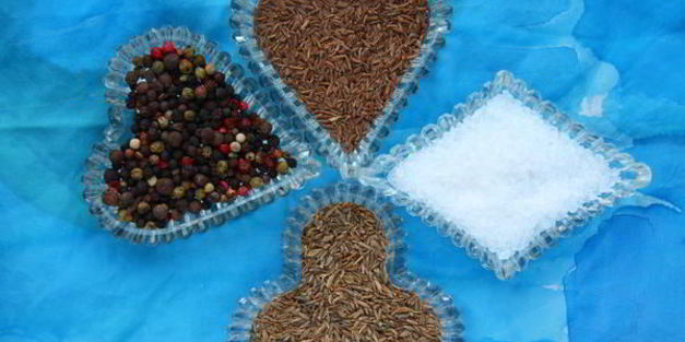 шашлык из свинины на косточке