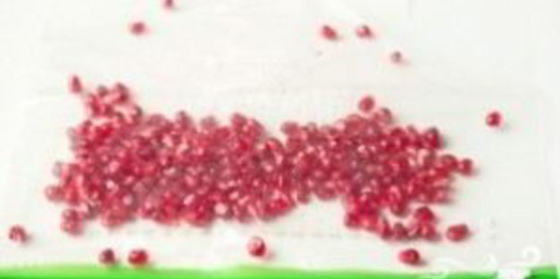 шашлык по-узбекски