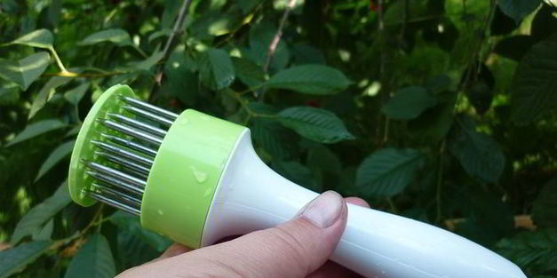 шашлык с тимьяном