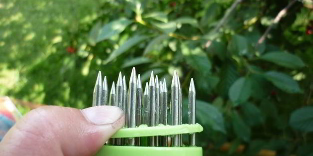 шашлык с тимьяном