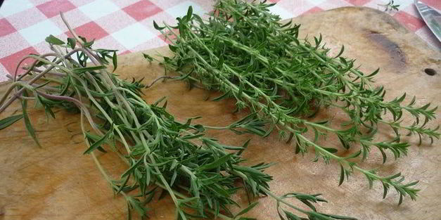 шашлык с тимьяном