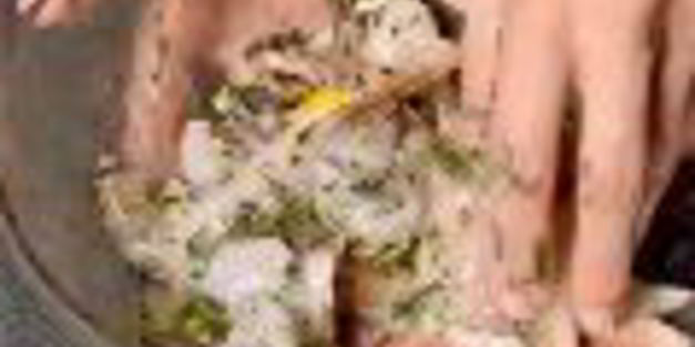 шашлыки из рыбы с креветками