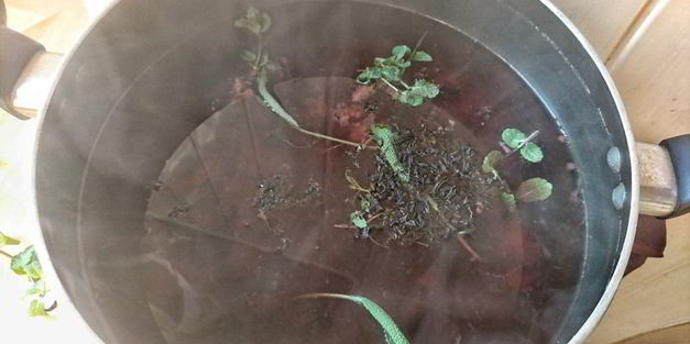 чайный напиток с ежевикой и мятой