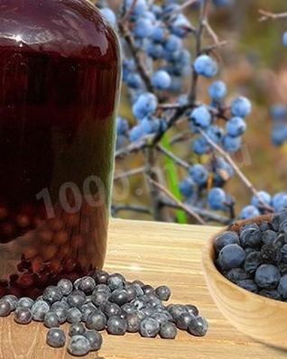 Домашнее терновое вино из терна