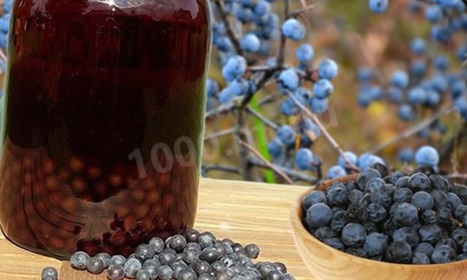 Рецепт домашнего тернового вина иза терны