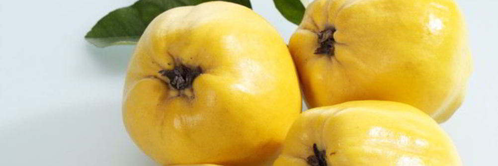 Домашнее вино из айвы