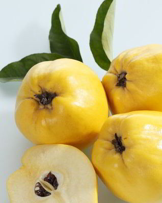 Домашнее вино из айвы