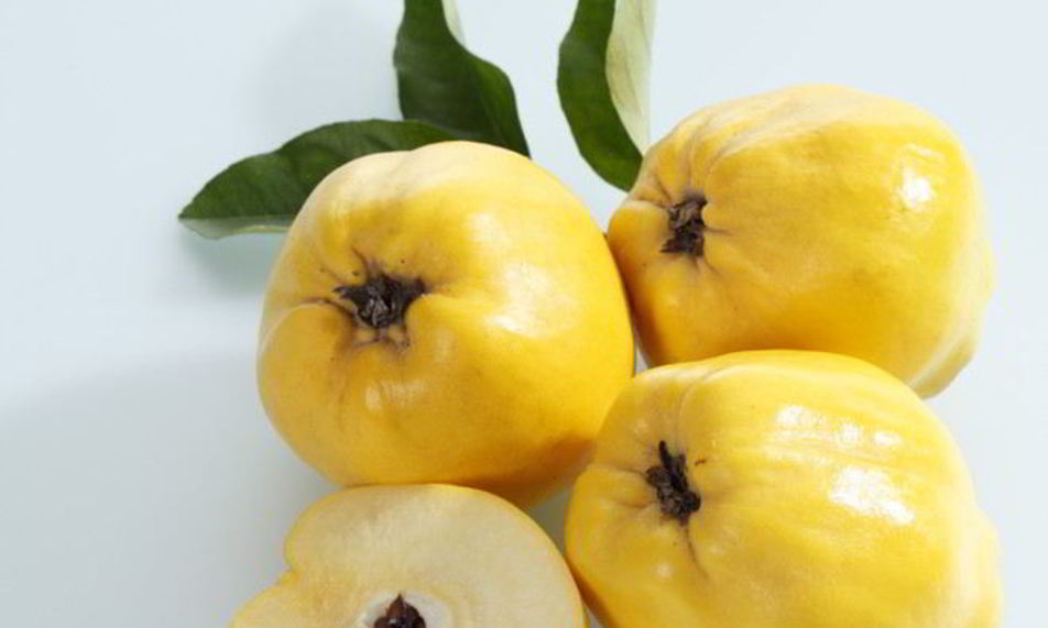 Рецепт домашнее вино из айвы