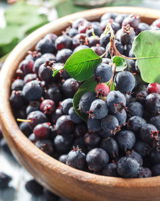 Домашнее вино из ирги