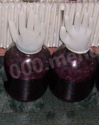 Домашнее вино из винограда Изабелла