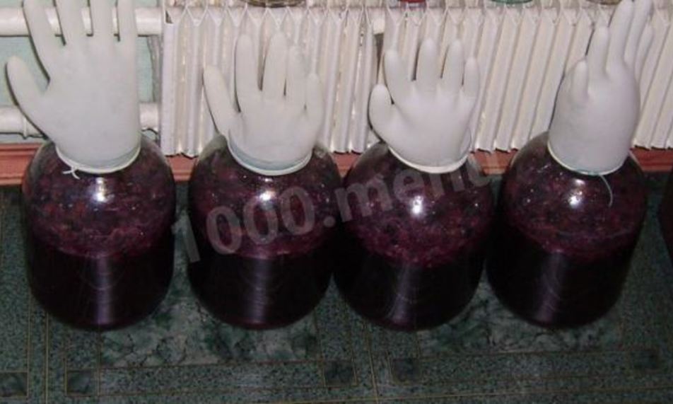 Рецепт домашнее вино из винограда изабелла