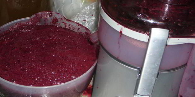 домашнее вино изабелла