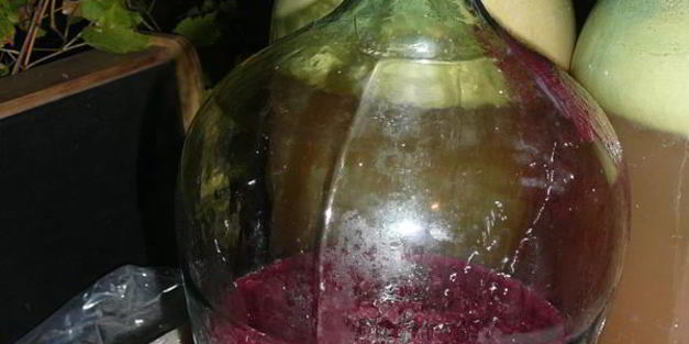 домашнее вино изабелла