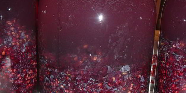 домашнее вино изабелла