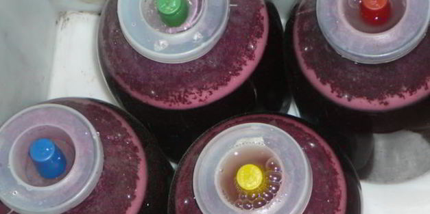 домашнее вино изабелла