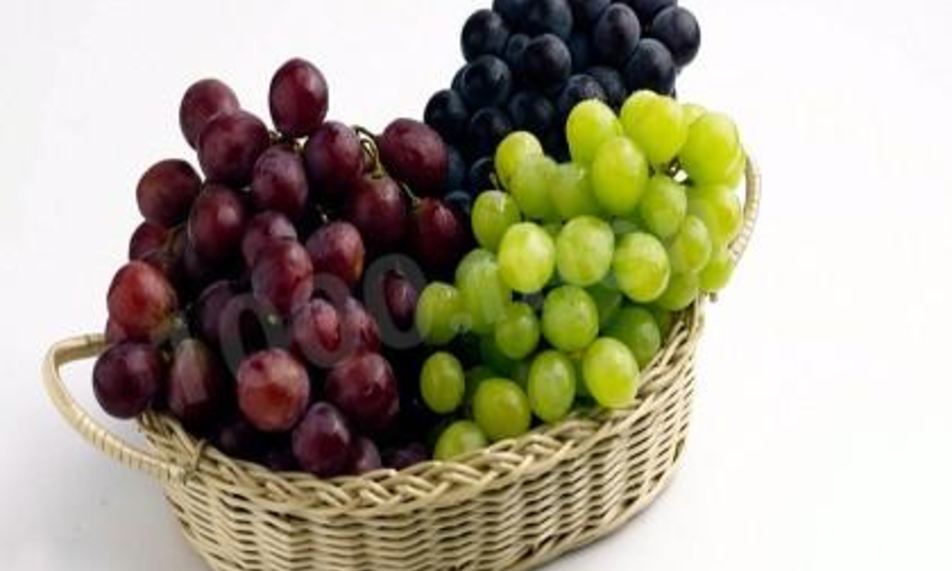 Рецепт домашнее виноградное вино