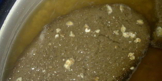 овсяный кисель