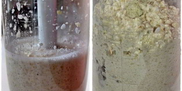 миндальное молоко и сливки