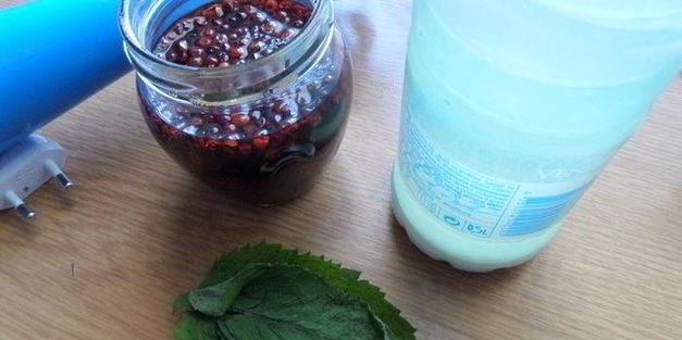 мятный напиток на сыворотке