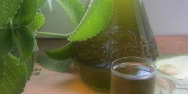 мятный сироп