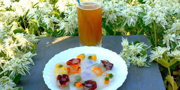 напиток из календулы с цветочным льдом